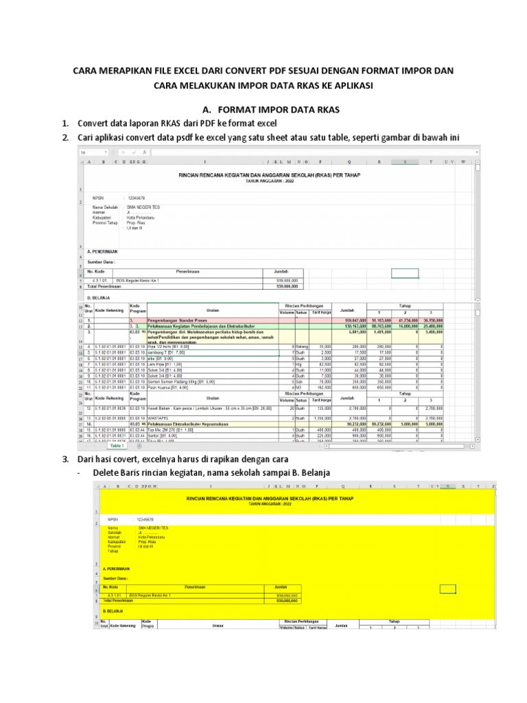 Panduan Merapikan dan Mengimpor RKAS Excel | PDF