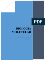 Biología molecular: estructura, composición y funciones de las moléculas celulares