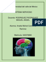 Teorias de Control Motor