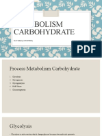 Metabolisme Karbohidrat - Sri Fadhila - Id.en