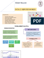 Semana 5 - Hipotensores