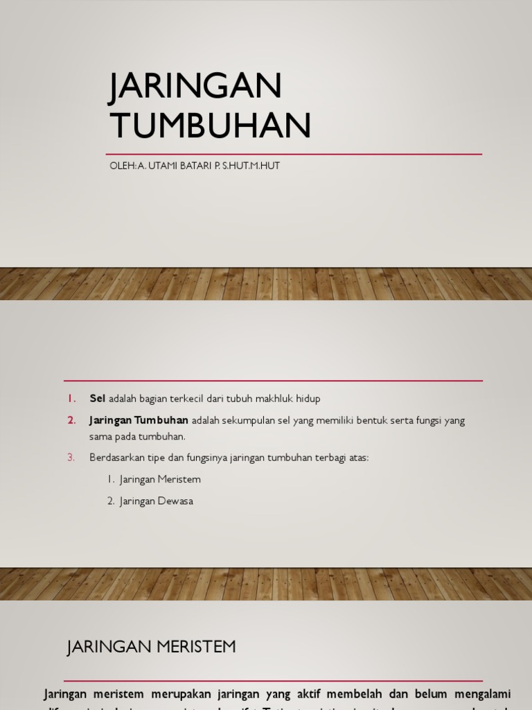 Jaringan Tumbuhan | PDF