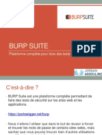 15.2 Burp PDF
