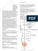 Biochem Carbohydrates