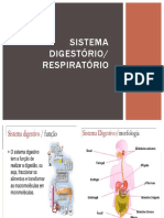 Sistema Digestorio 2020