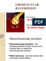 NEUROMUSCULAR TRANSMISSION: ANATOMY AND PHYSIOLOGY