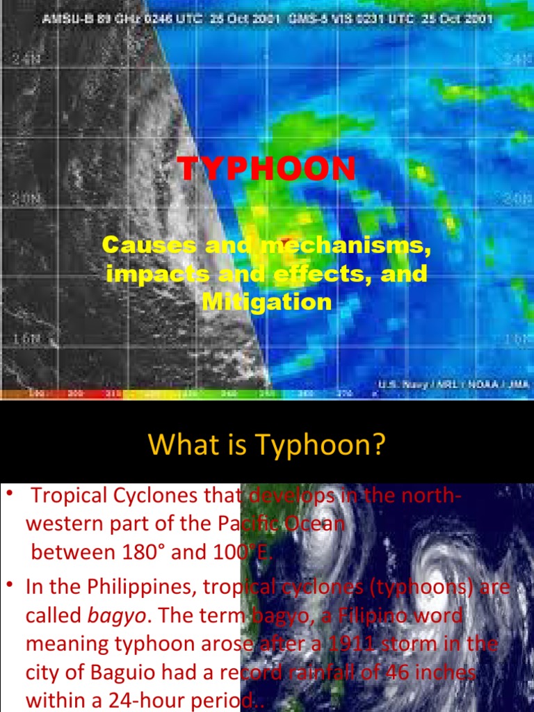 Understanding Typhoons in the Philippines | PDF | Typhoon | Tropical ...