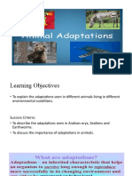 Animal Adaptations