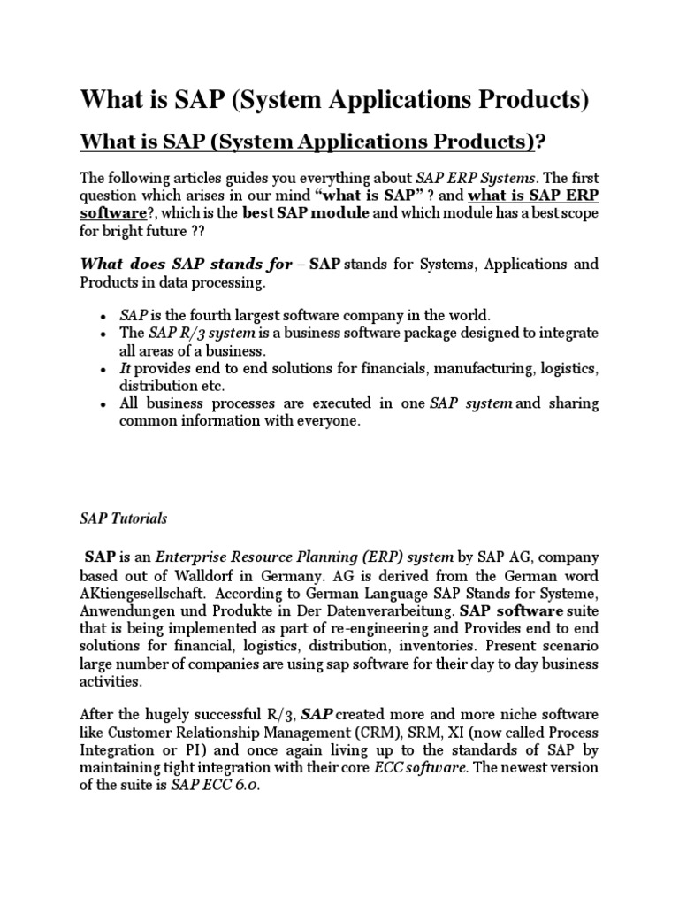 what-is-sap-pdf-information-management-computer-science