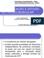 Aula 04 - Tecido Muscular - 221120 - 211436