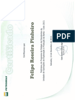 Certificado Estágio Petrobras