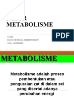 Tugas Biologi Sel PPT Jalur Metabolisme