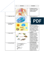 Biological Systems and Cellular Basis of Life