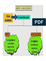 Habitat y Nicho Ecologico