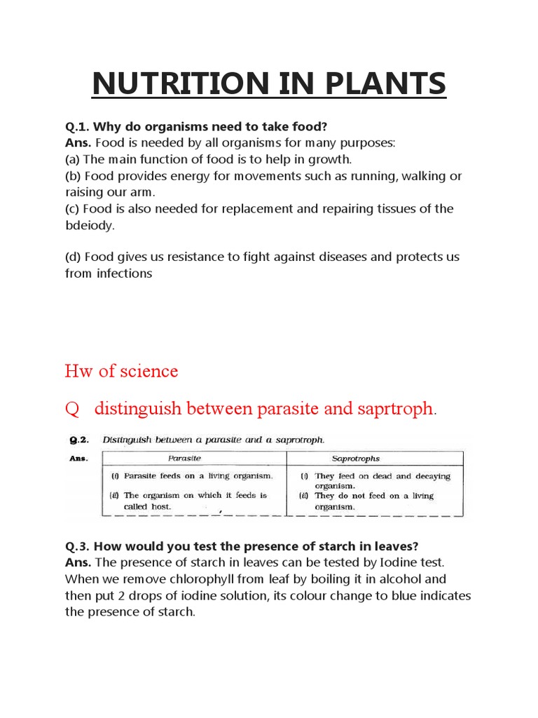 PLANT NUTRITION QUESTIONS AND ANSWERS PDF GRADE 9 visual data 4