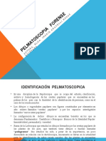 194480013-Pelmatoscopia-Forense