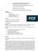 Segunda Práctica - Derecho Procesal Civil Iv