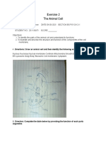 Exercise 02 - The Animal Cell