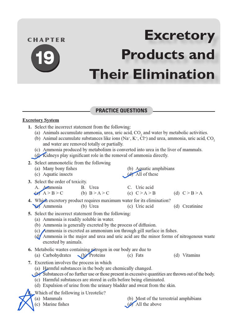 Excretory Products and Their Elimination Practice Questions PDF