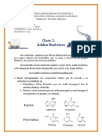 AA CLASE 1. Ácidos Nucléicos. 3r Año