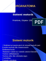 Sistemi Motorik