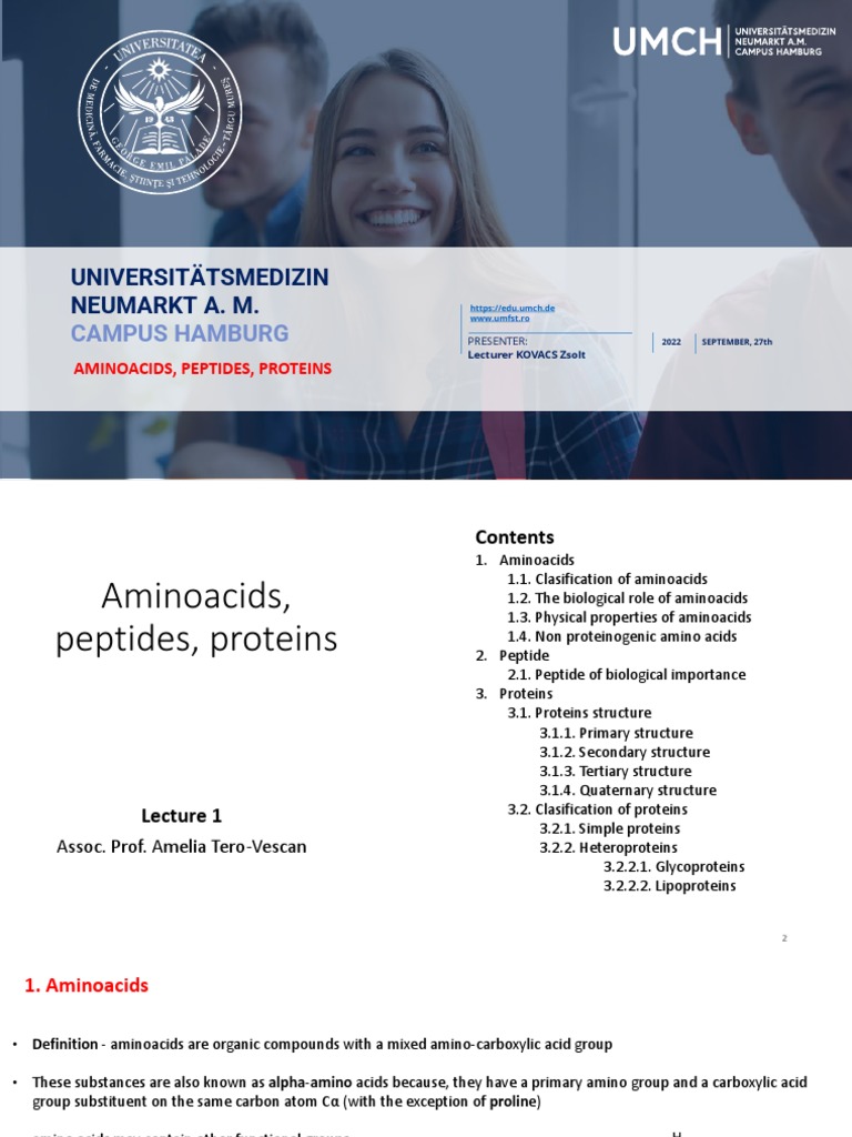 Amino Acids, Peptides, and Proteins Overview | PDF | Amino Acid | Beta ...