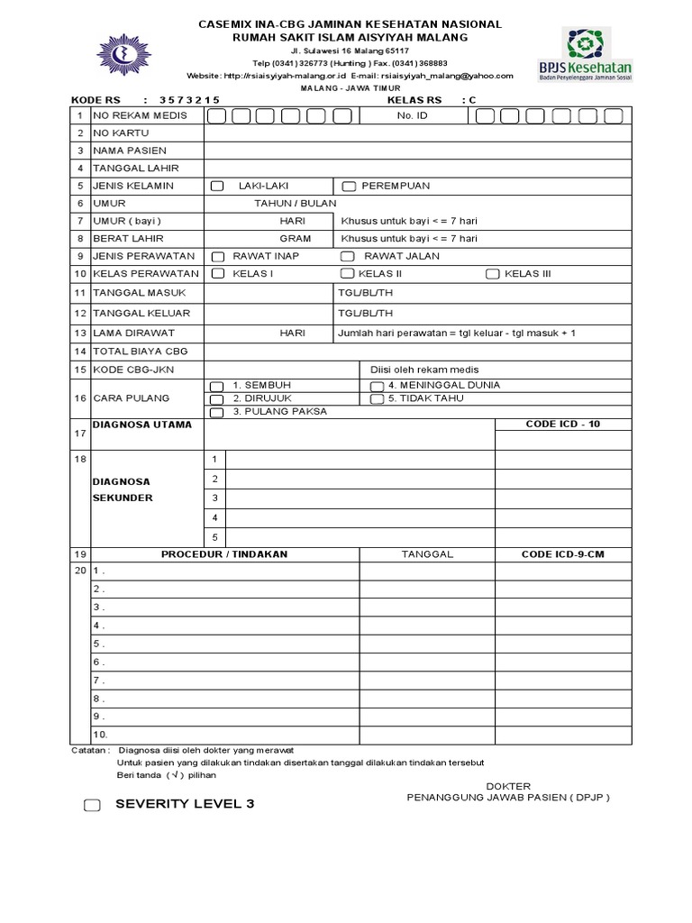 Form Casemix | PDF