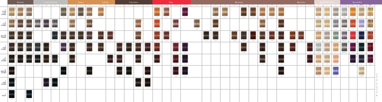 Hair Color Codes and Shades Guide | PDF