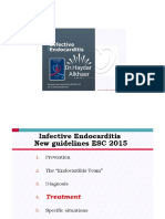 Slide Set Guidelines IE 2015