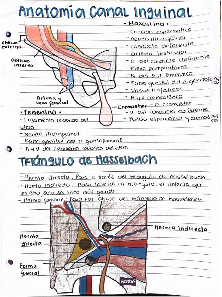 Hernia Inguinal Directa Tac