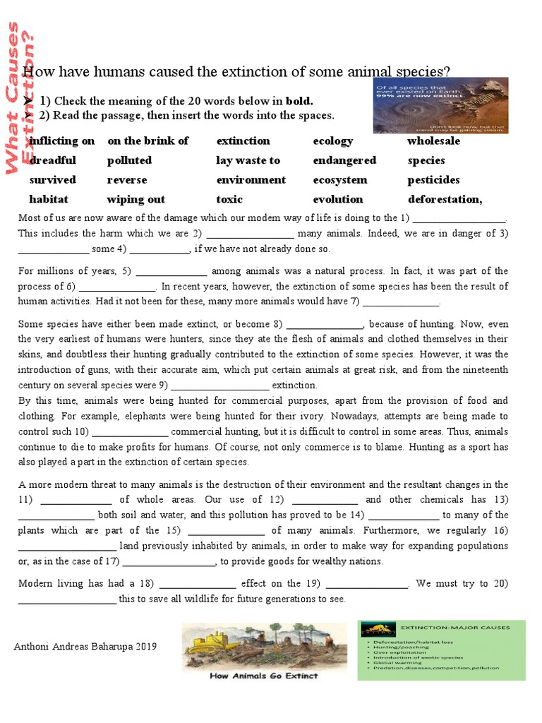 Human Impact on Animal Extinction | PDF | Extinction | Hunting