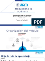 S09 - CAU421 - Proceso de Auditoria II