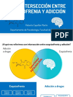 En La Intersección Entre Esquizofrenia y Adicción