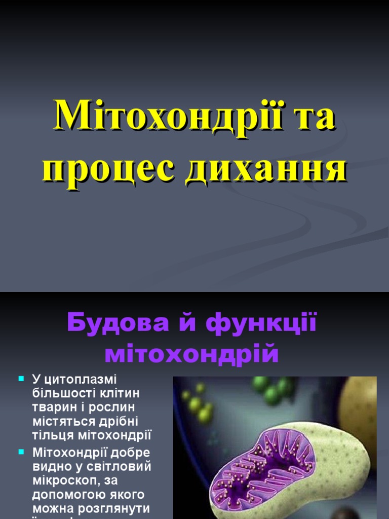 ПРОЦЕС ДИХАННЯ | PDF