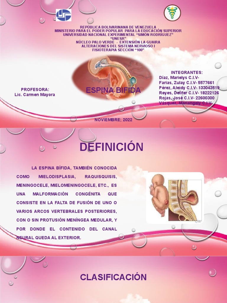 Espina Bifida - Diapositivas | PDF | Enfermedades y trastornos ...