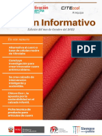 Boletín Informativo CITEccal Arequipa - Edición Octubre 2022