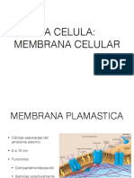 Membrana celular I