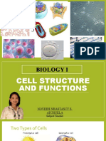 Cell Structures and Functions