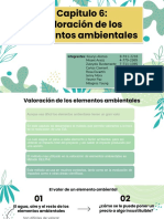 Cap 6. Valoración de Los Elementos Ambientales