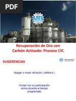 Diseño de Columnas de Carbon Activado | PDF | Adsorción | Ciencias fisicas