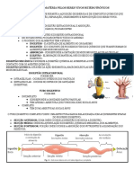 Obtenção de Matéria Pelos Seres Vivos Heterotróficos