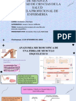 Anatomia y Fisiologia