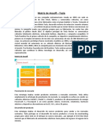 Matriz de Ansoff_Tesla