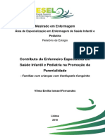 Relatório de Mestrado - Vilma Fernandes