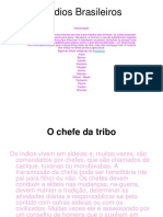 Alimentação e cultura dos povos indígenas brasileiros