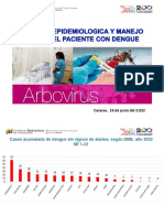 Dengue: casos, definición y tratamiento