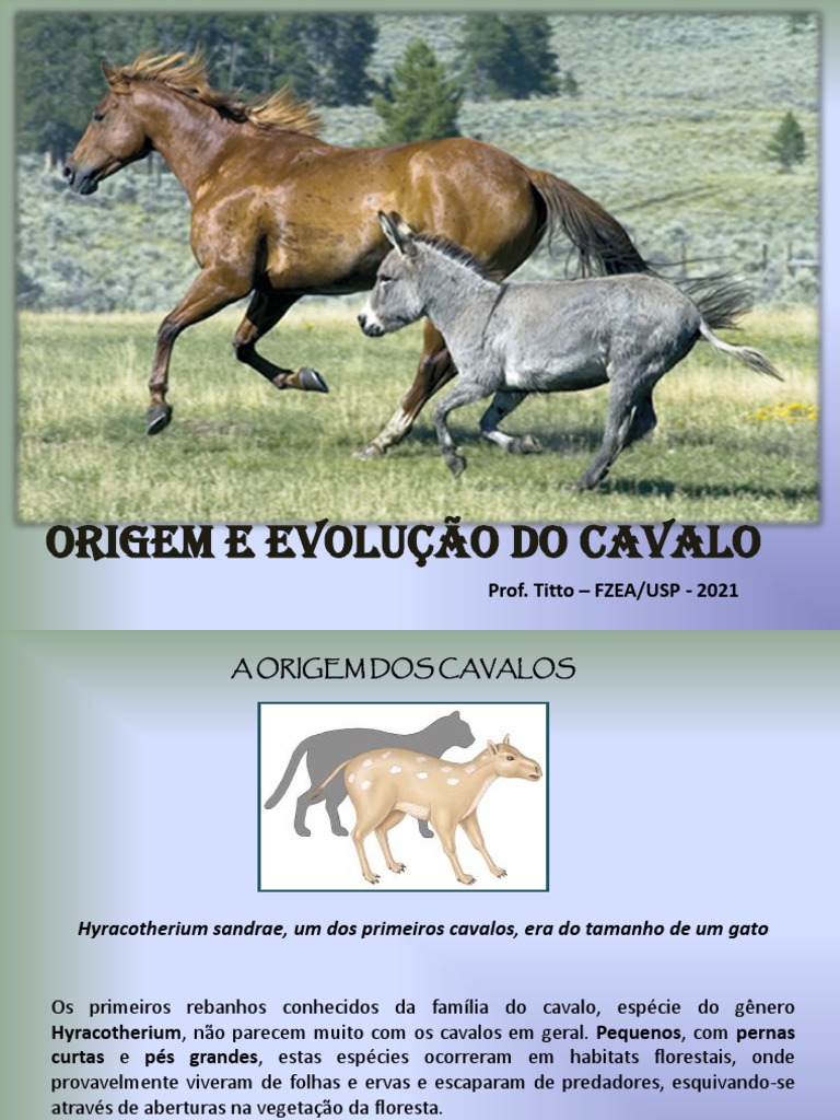 Problema do cavalo – Wikipédia, a enciclopédia livre
