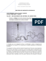 Taller 1 (Informe 1) G2L1