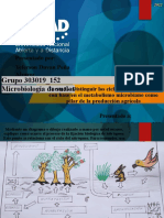 Tarea 3 - Distinguir Los Ciclos Biogeoquímicos Con Base en El Metabolismo Microbiano Como Pilar de La Producción Agrícola