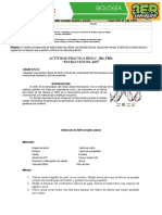 BIOL19 - S05 - PR02 Extracción de ADN en El Tejido Vegetal y Animal